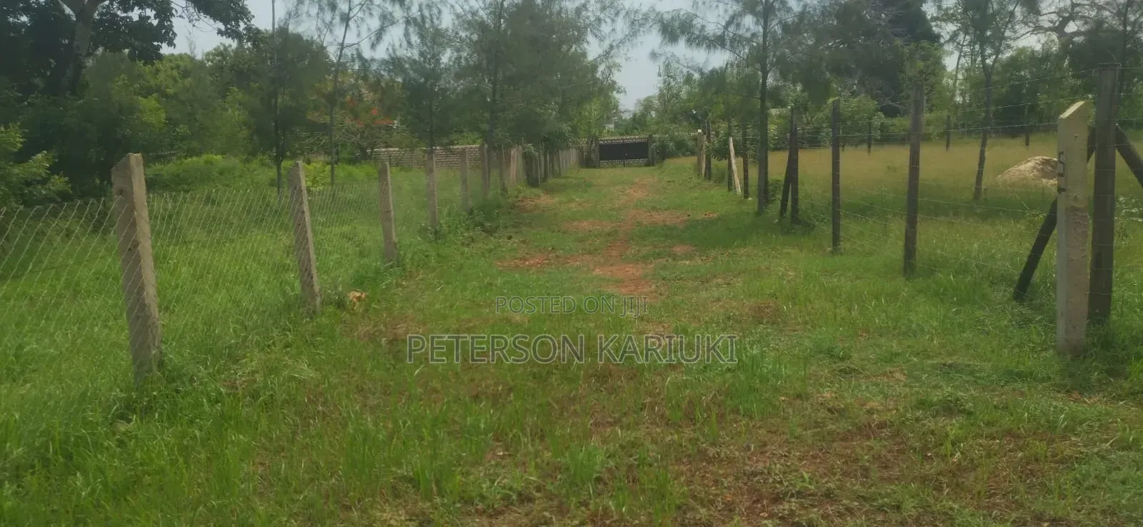 Diani Prime Plots on Sale in Diani