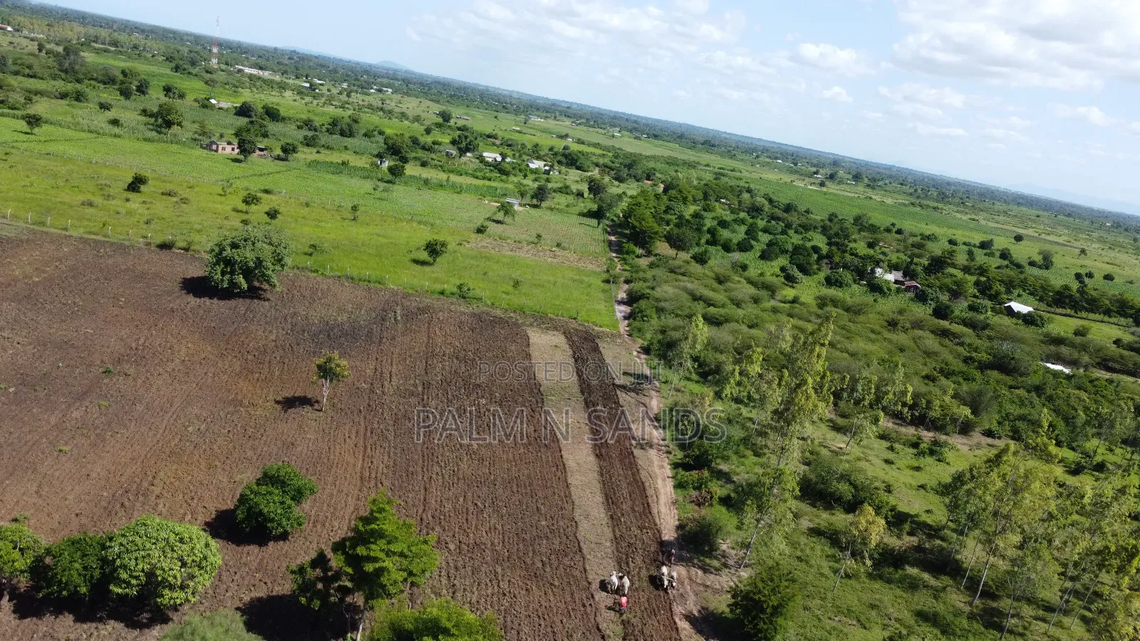 Kidomaya 38 Acre Farm Land on Sale! in Pongwe/Kikoneni