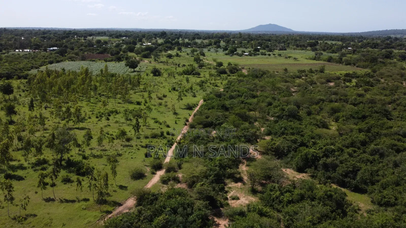Kidomaya 38 Acre Farm Land on Sale! in Pongwe/Kikoneni