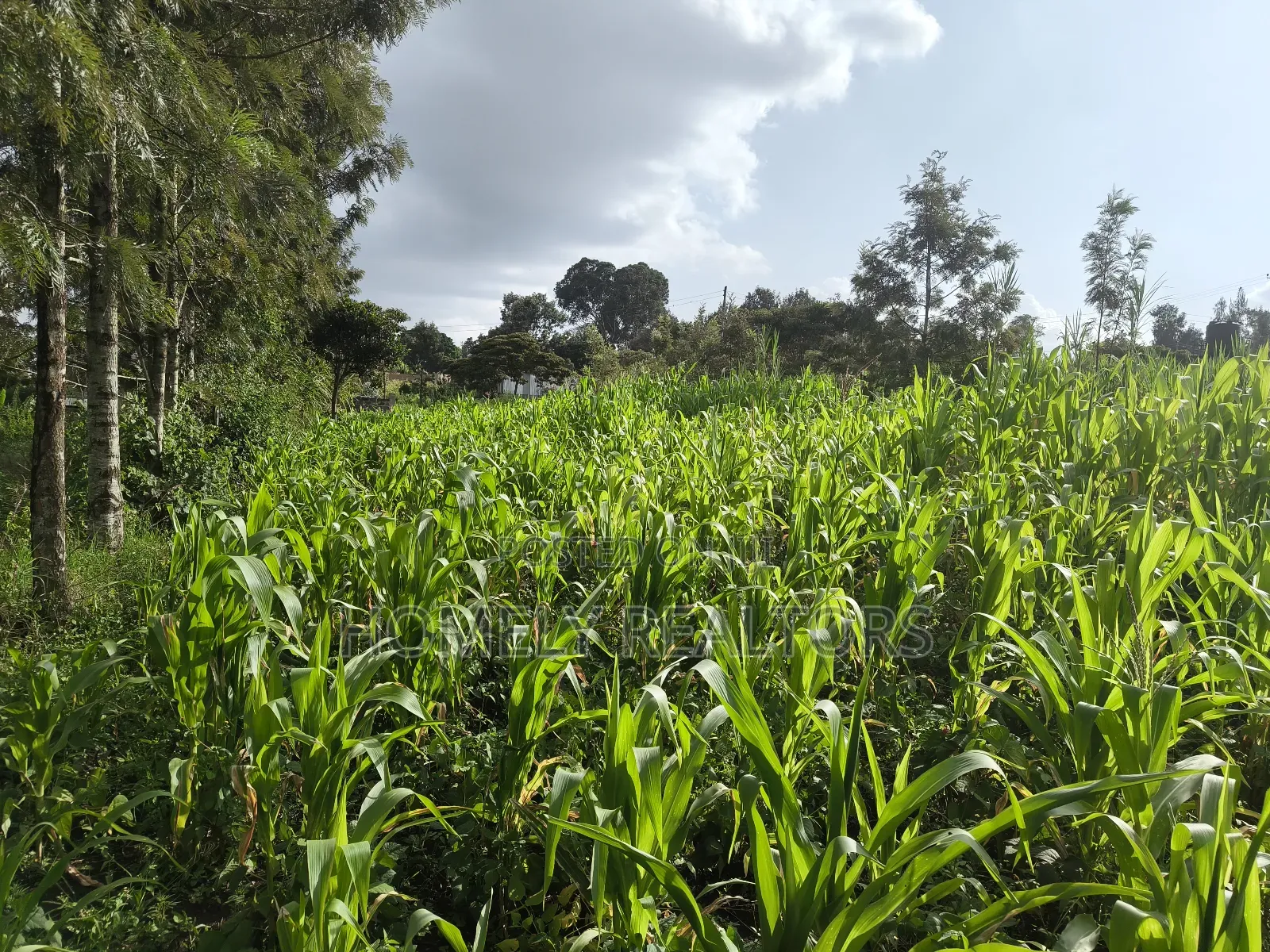 Quarter Acre Plot in Ngong, Ol Keri 50 Meters From Tarmac in Ol Keri