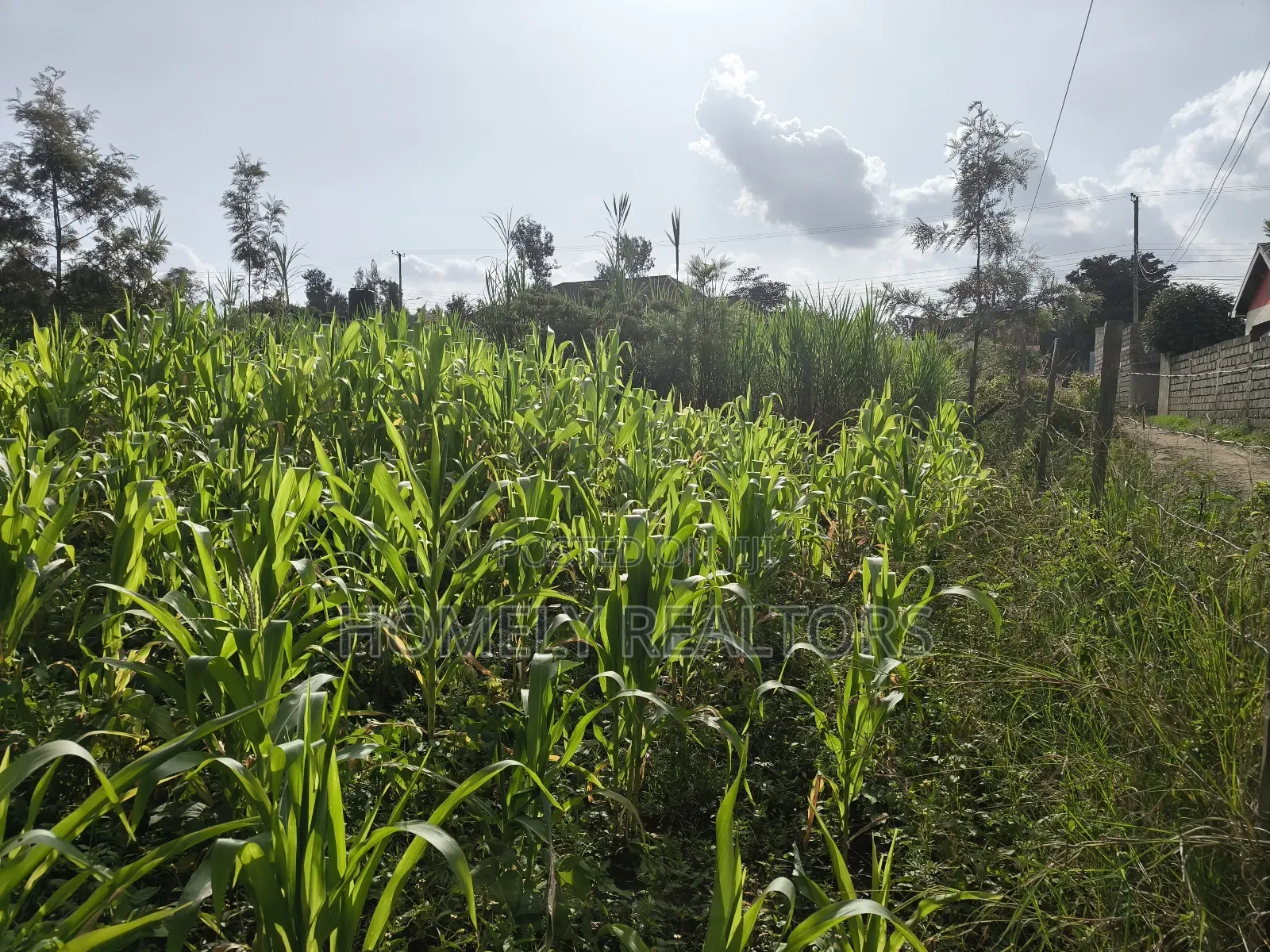 Quarter Acre Plot in Ngong, Ol Keri 50 Meters From Tarmac in Ol Keri