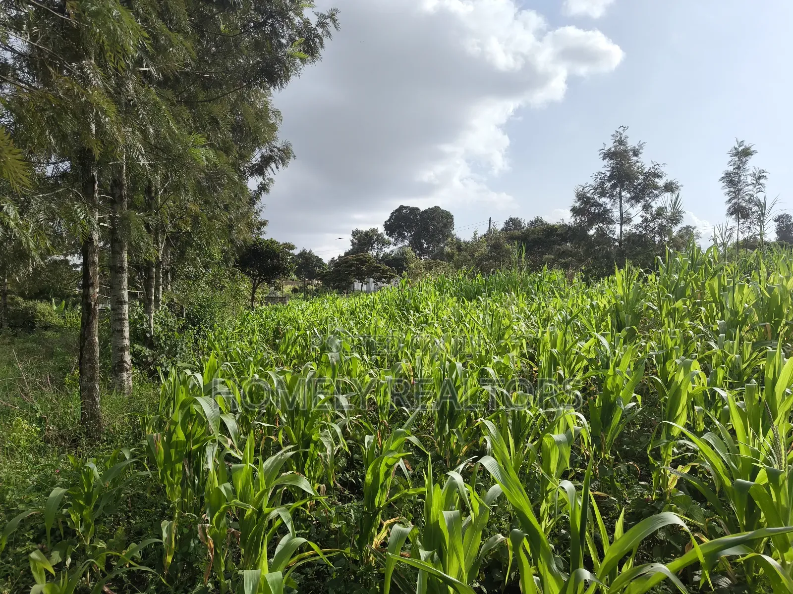 Quarter Acre Plot in Ngong, Ol Keri 50 Meters From Tarmac in Ol Keri