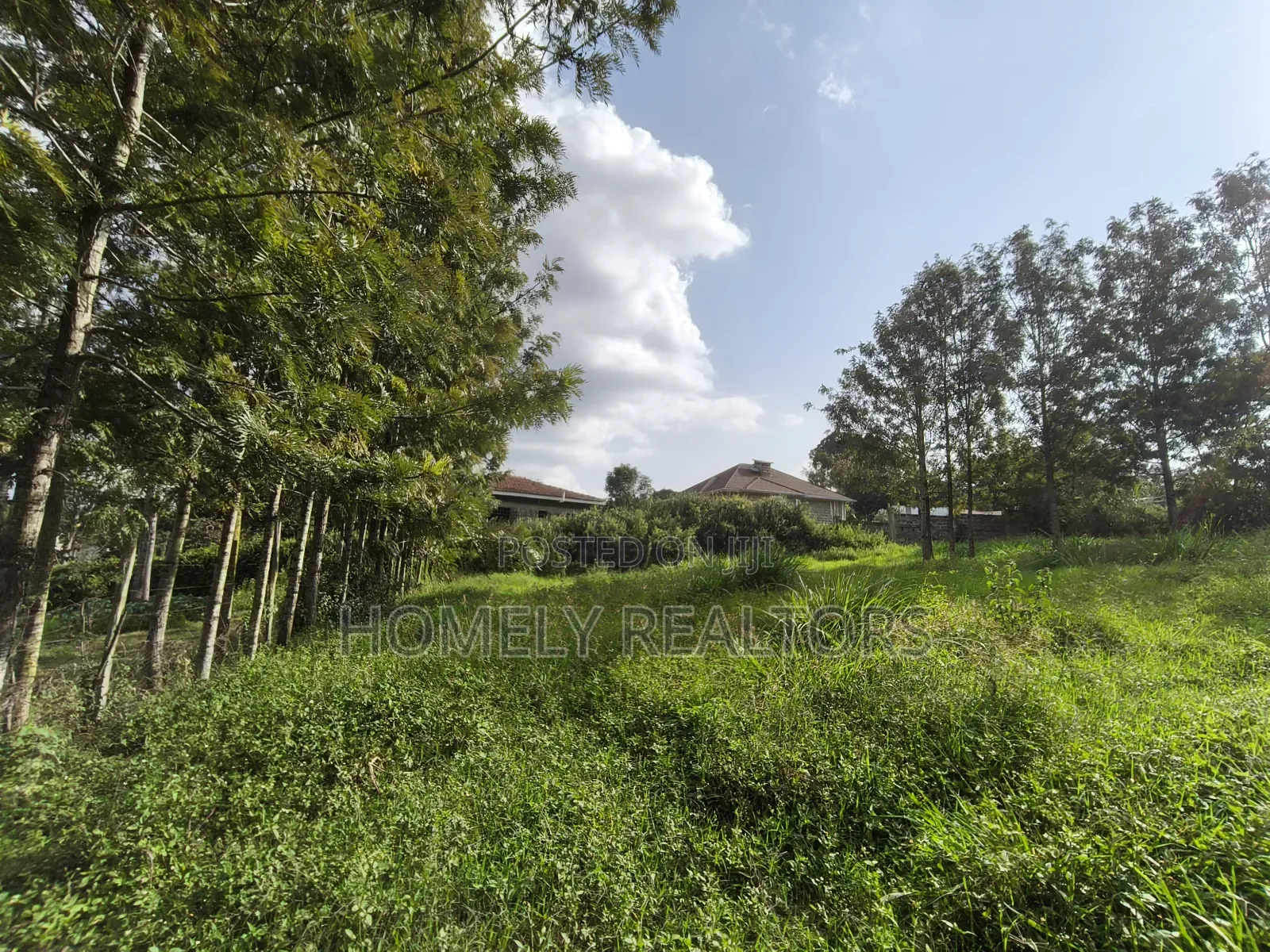 Eighth Acre Plot in Ngong's Ol Keri Near the Tarmac in Ol Keri