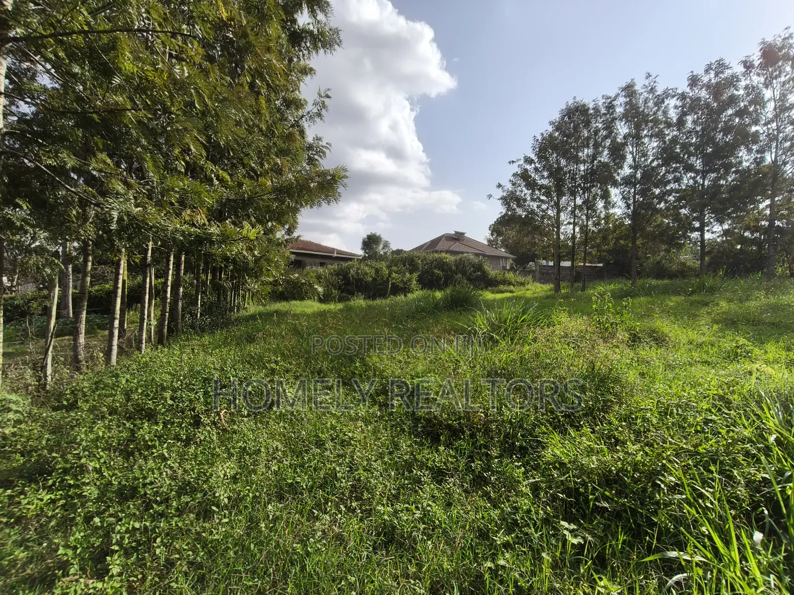 Eighth Acre Plot in Ngong's Ol Keri Near the Tarmac in Ol Keri