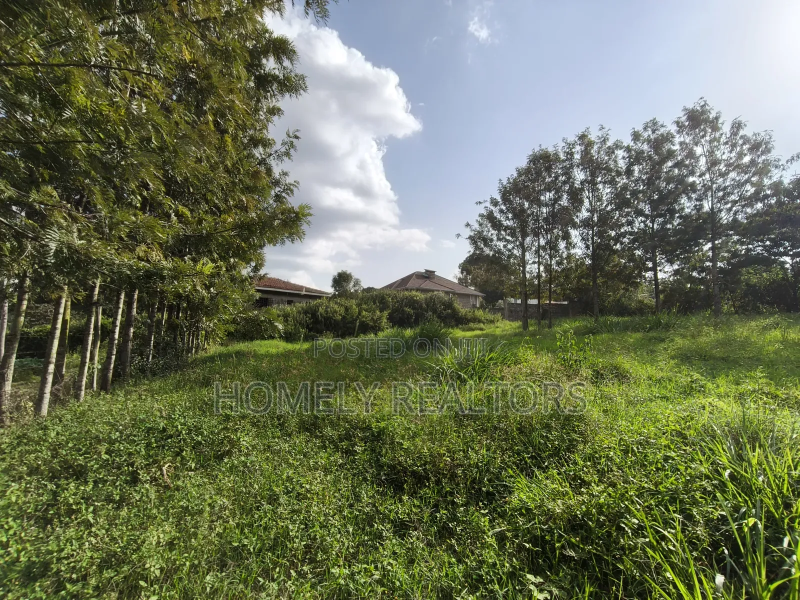 Eighth Acre Plot in Ngong's Ol Keri Near the Tarmac in Ol Keri