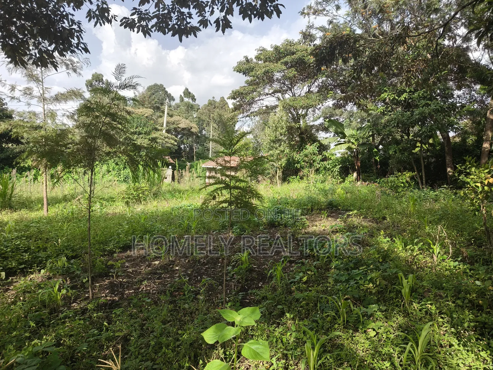 Half Acre Plot on Sale in Ngong, Ol Keri With Good View in Ol Keri