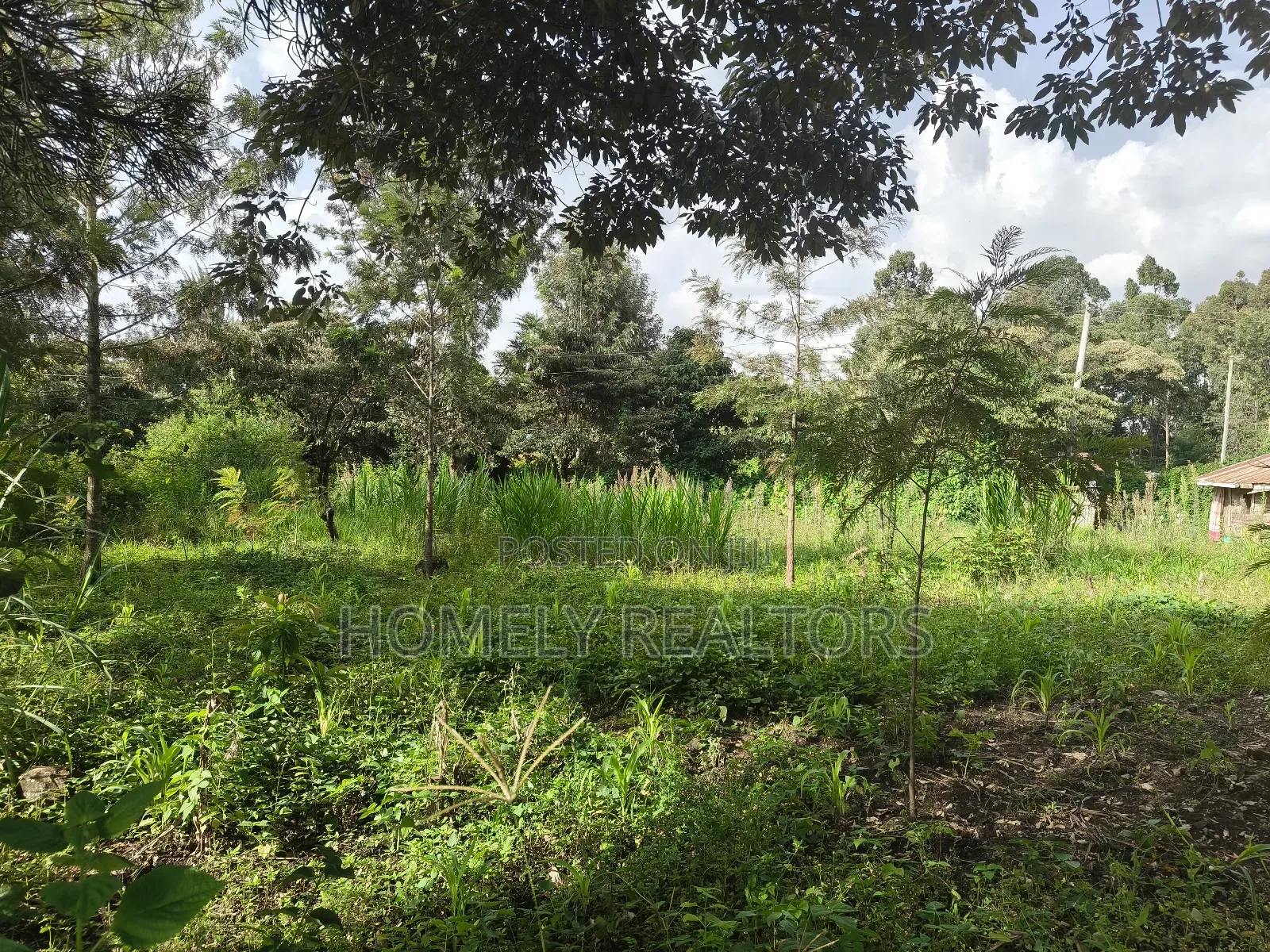 Half Acre Plot on Sale in Ngong, Ol Keri With Good View in Ol Keri