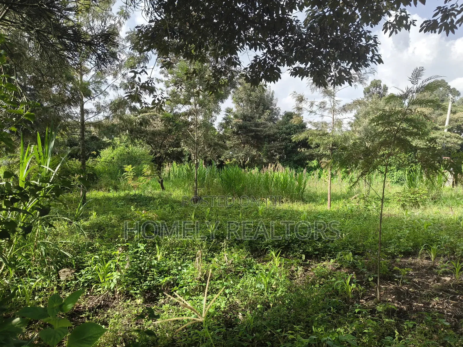 Half Acre Plot on Sale in Ngong, Ol Keri With Good View in Ol Keri