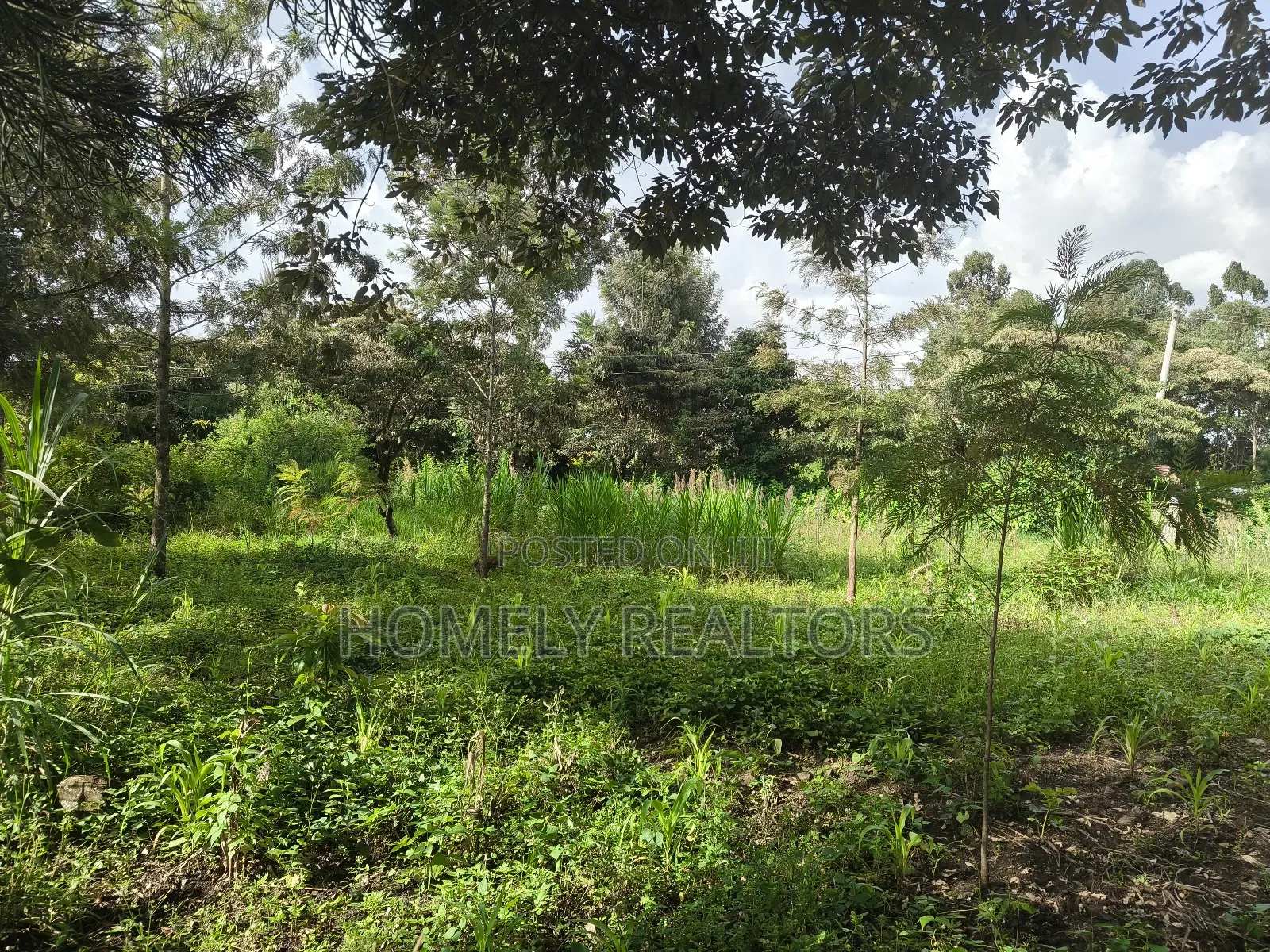 Half Acre Plot on Sale in Ngong, Ol Keri With Good View in Ol Keri