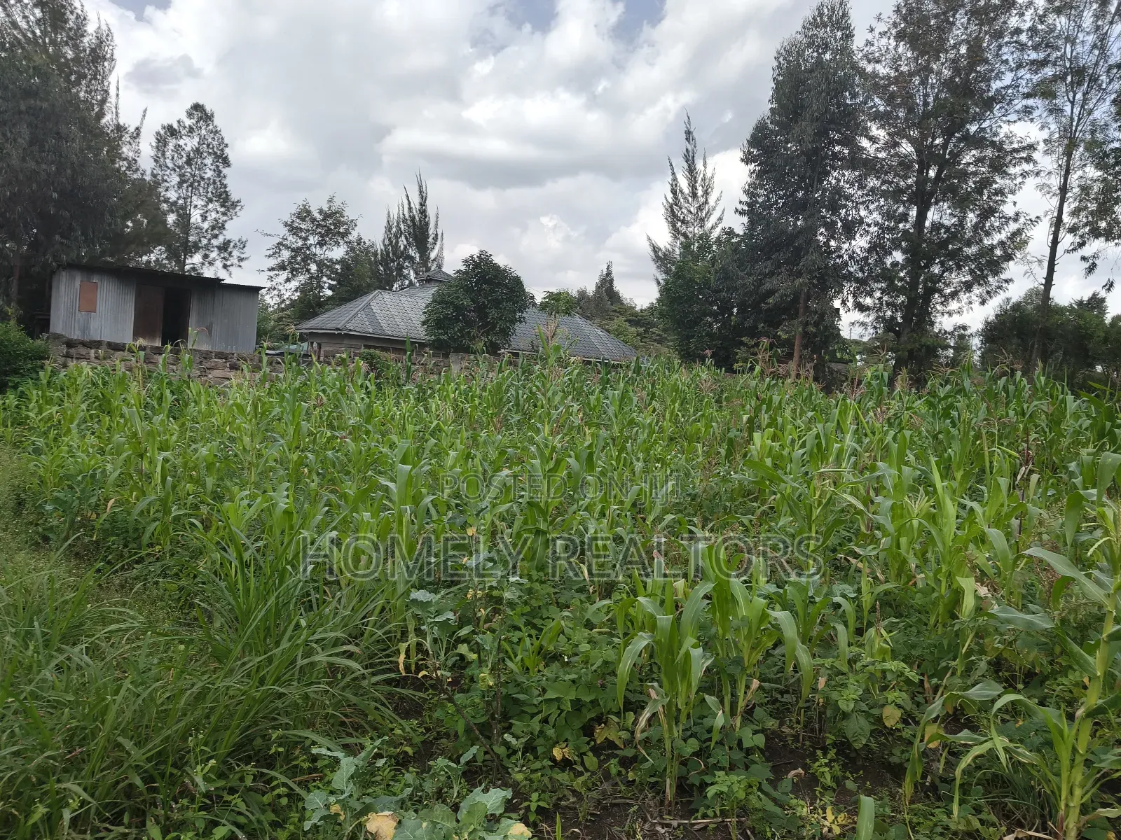 Quarter Acre Plot on Sale in Ngong, Ol Keri With a Good View in Ol Keri