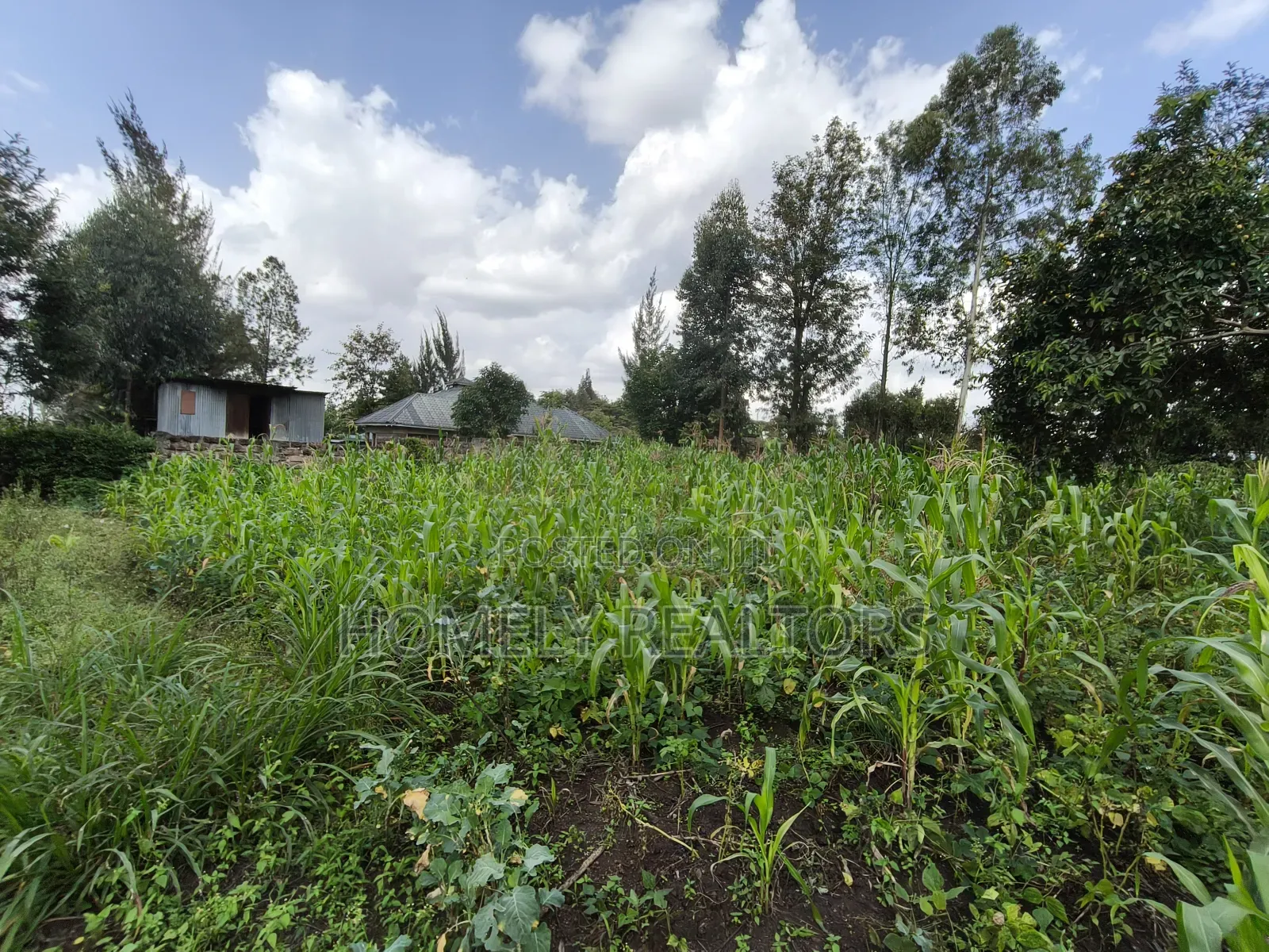 Quarter Acre Plot on Sale in Ngong, Ol Keri With a Good View in Ol Keri