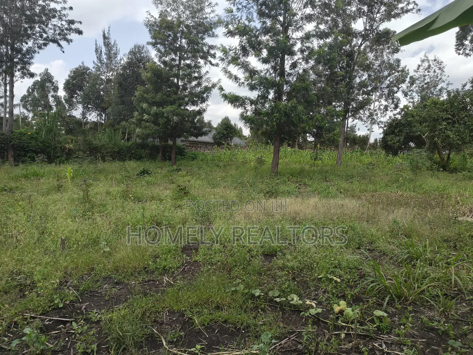 Quarter Acre Plot in Ngong, Olkeri in a Growing Neighborhood in Ol Keri