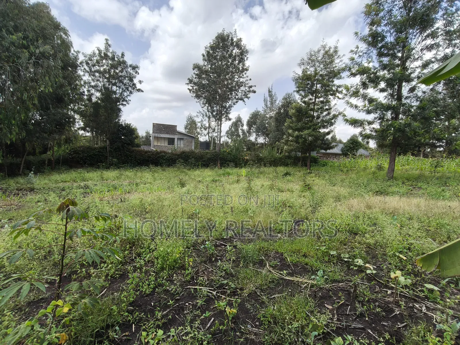 Quarter Acre Plot in Ngong, Olkeri in a Growing Neighborhood in Ol Keri