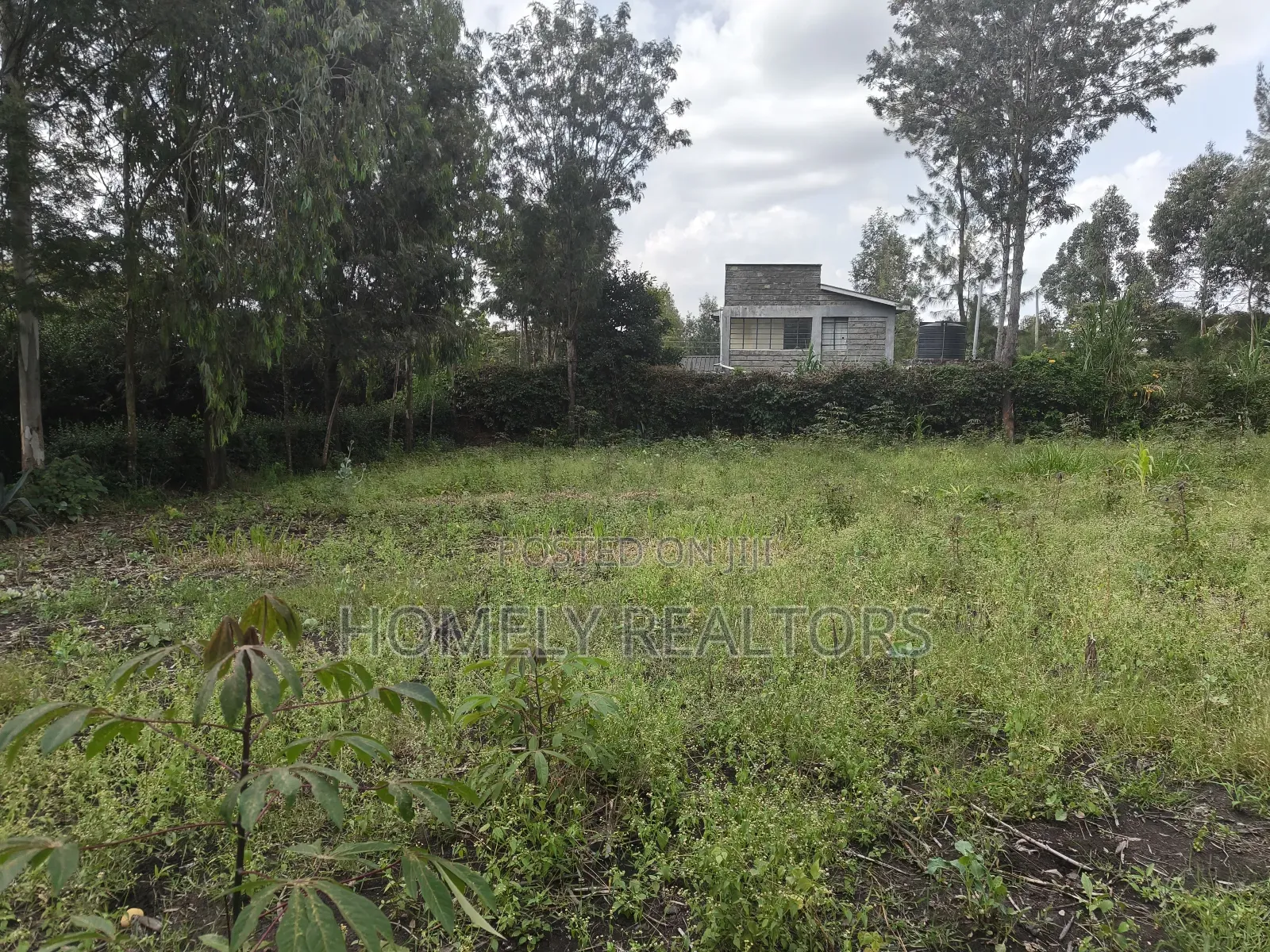 Quarter Acre Plot in Ngong, Olkeri in a Growing Neighborhood in Ol Keri