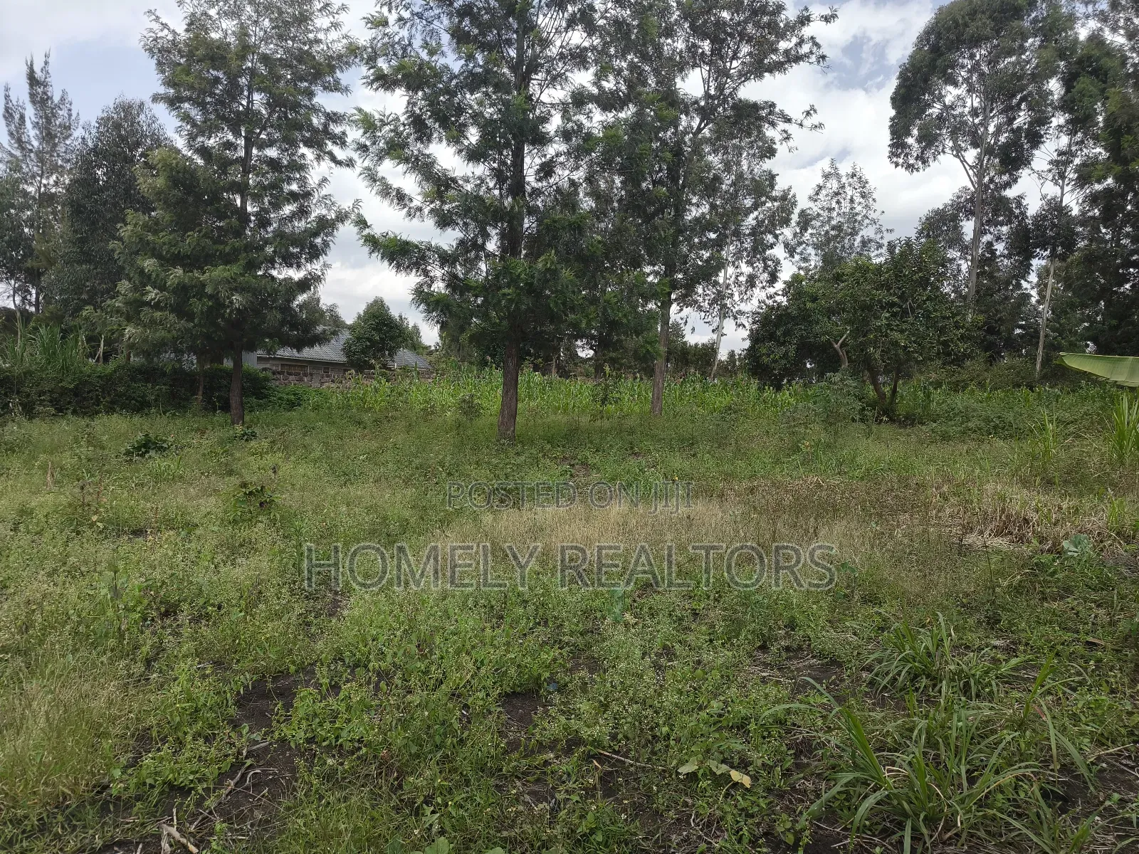Quarter Acre Plot in Ngong, Olkeri in a Growing Neighborhood in Ol Keri