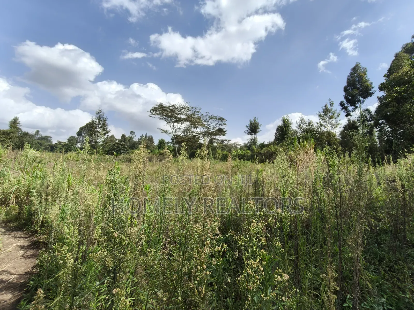 Half Acre Piece Of Land On Sale In Ngong's Ol Keri Area in Ol Keri