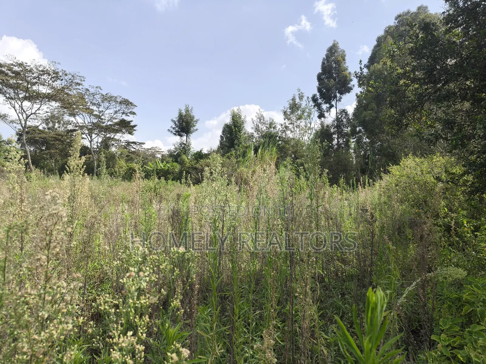 Half Acre Piece Of Land On Sale In Ngong's Ol Keri Area in Ol Keri