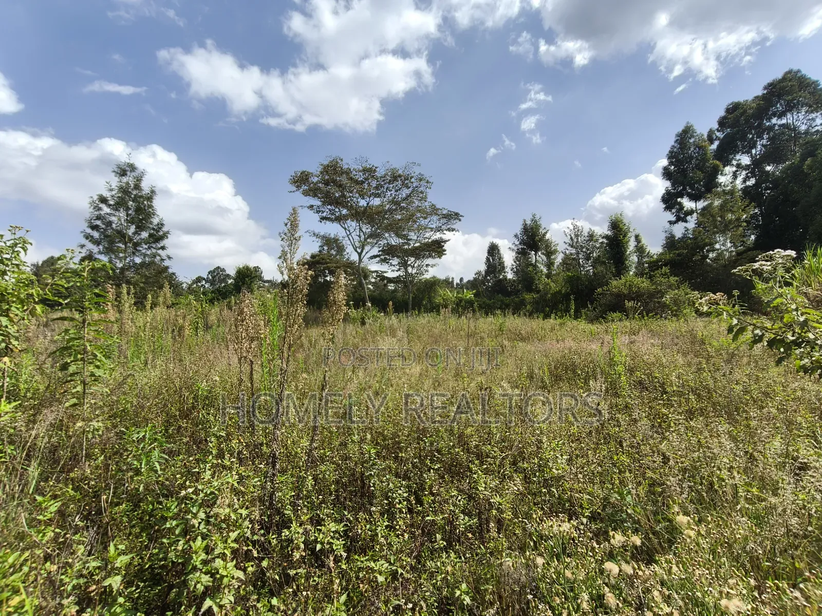 Half Acre Piece Of Land On Sale In Ngong's Ol Keri Area in Ol Keri