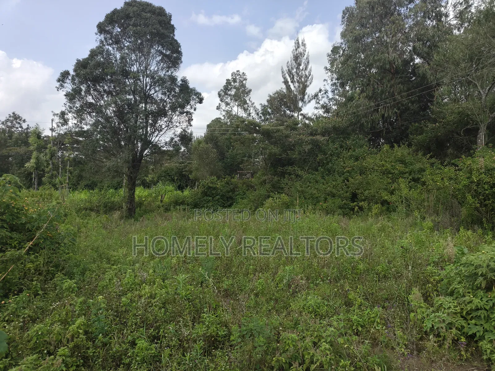 Eighth Acre Plot on Sale in Ngong, Ol Keri Good for a Home in Ol Keri