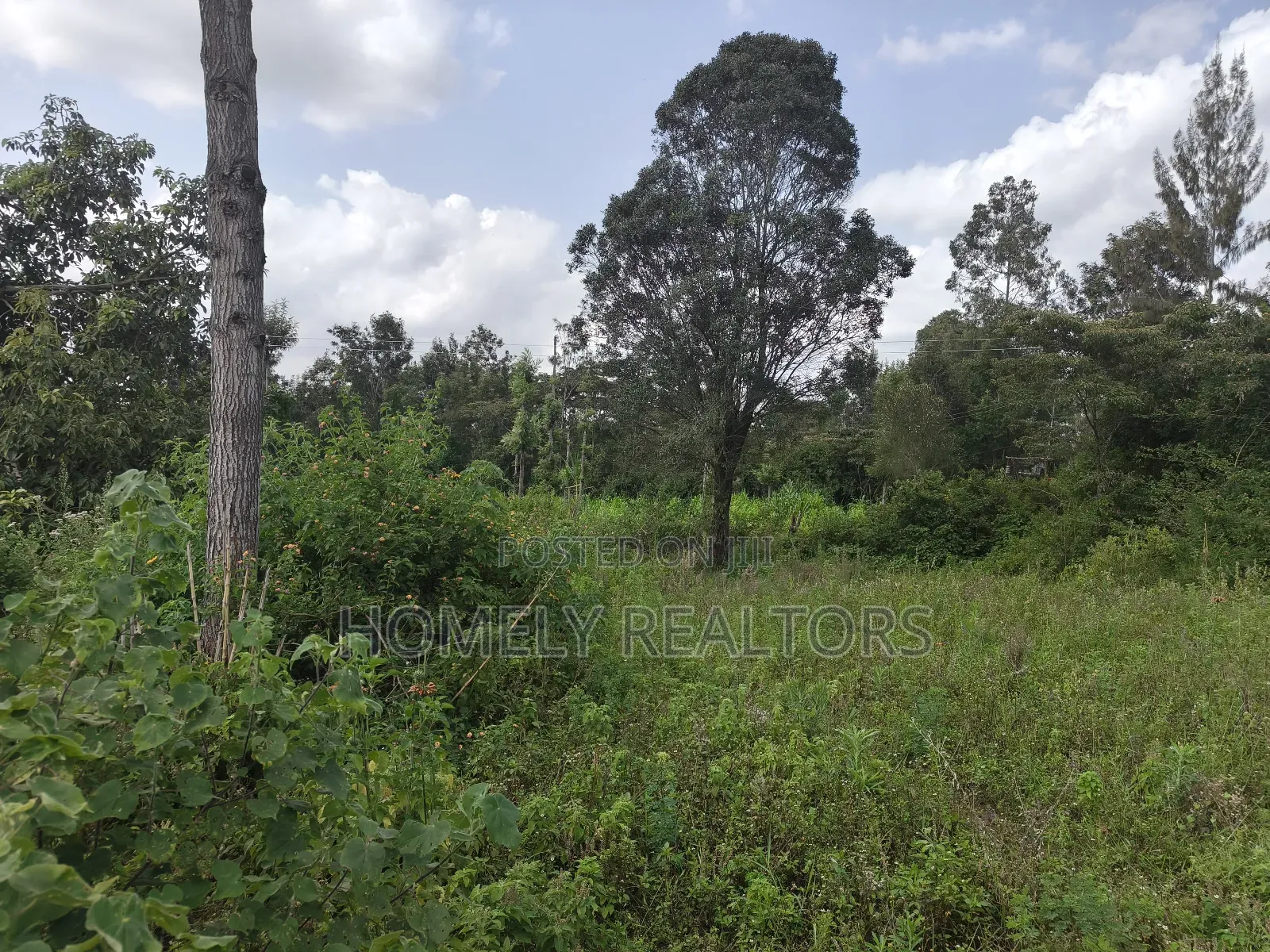 Eighth Acre Plot on Sale in Ngong, Ol Keri Good for a Home in Ol Keri