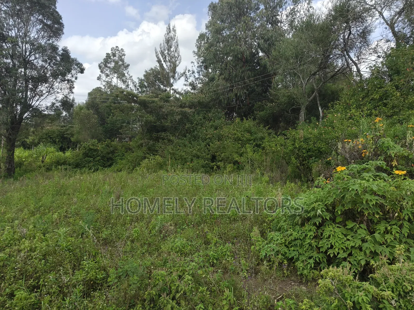 Eighth Acre Plot on Sale in Ngong, Ol Keri Good for a Home in Ol Keri