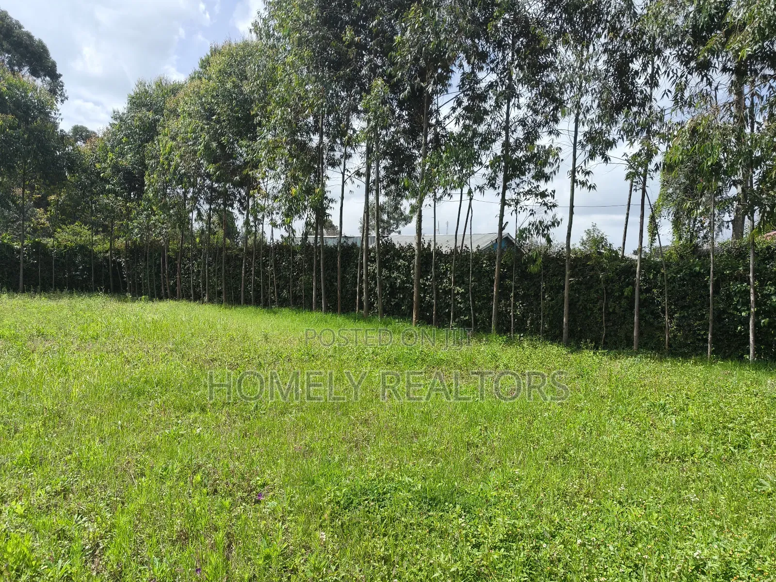 Half Acre Plot in Ngong, Memusi, Good for Residential Homes in Matasia