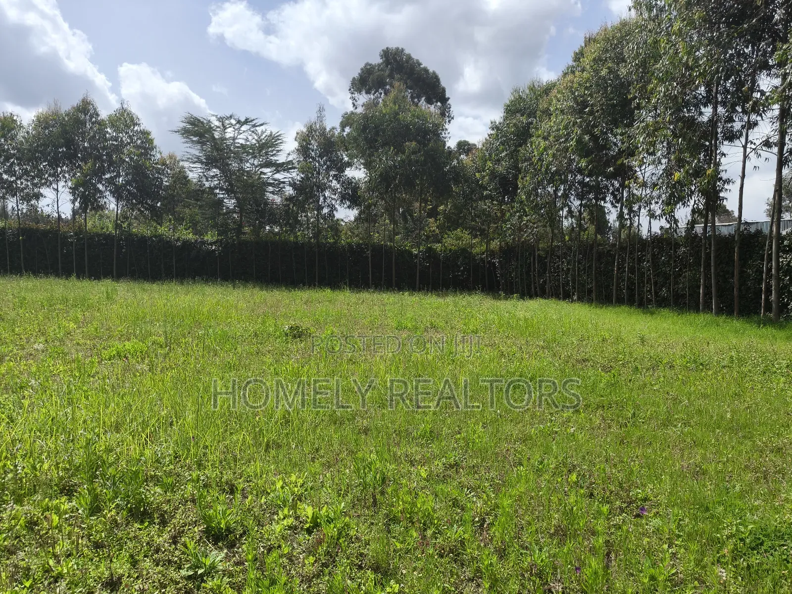 Half Acre Plot in Ngong, Memusi, Good for Residential Homes in Matasia