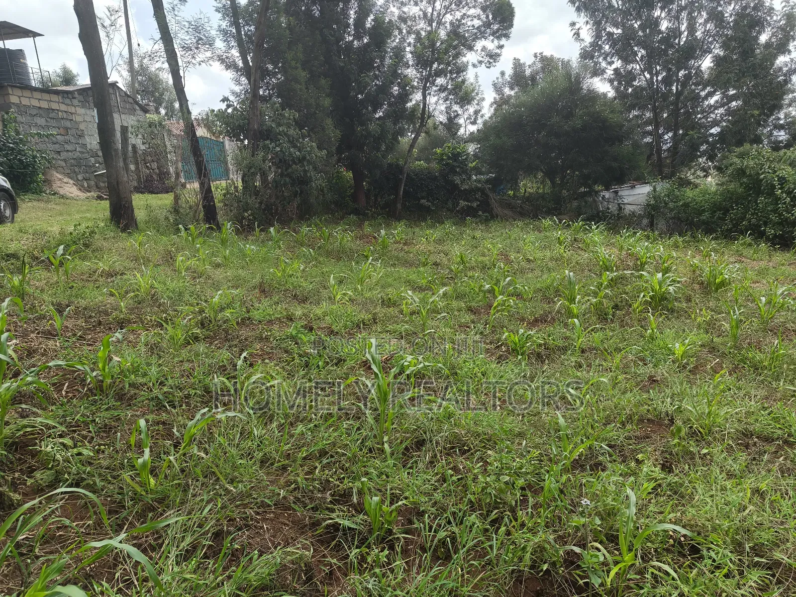 Eighth Acre Plot in Ngong, Matasia. Red Soil With Good View in Matasia