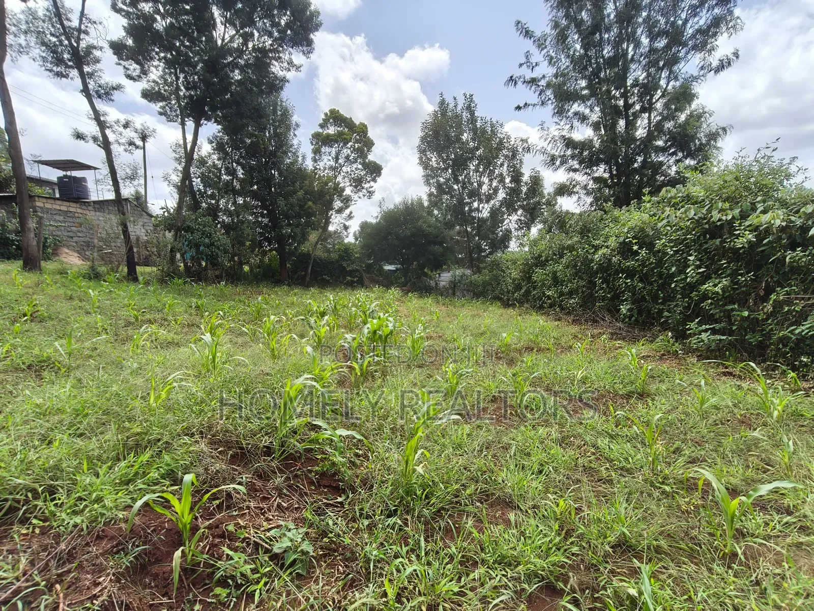 Eighth Acre Plot in Ngong, Matasia. Red Soil With Good View in Matasia