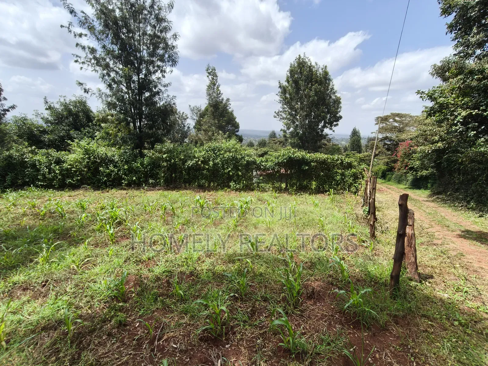 Eighth Acre Plot in Ngong, Matasia. Red Soil With Good View in Matasia
