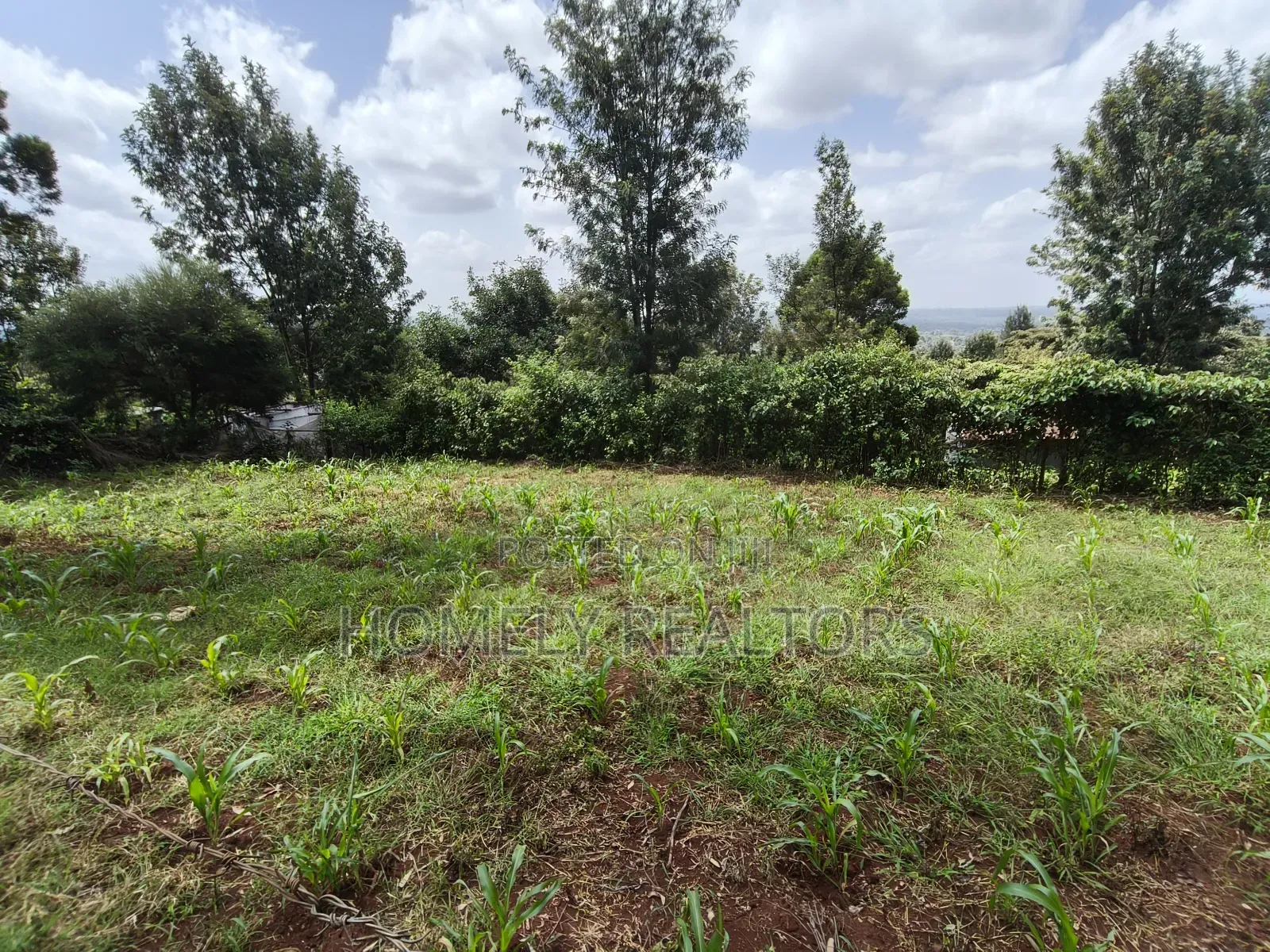 Eighth Acre Plot in Ngong, Matasia. Red Soil With Good View in Matasia