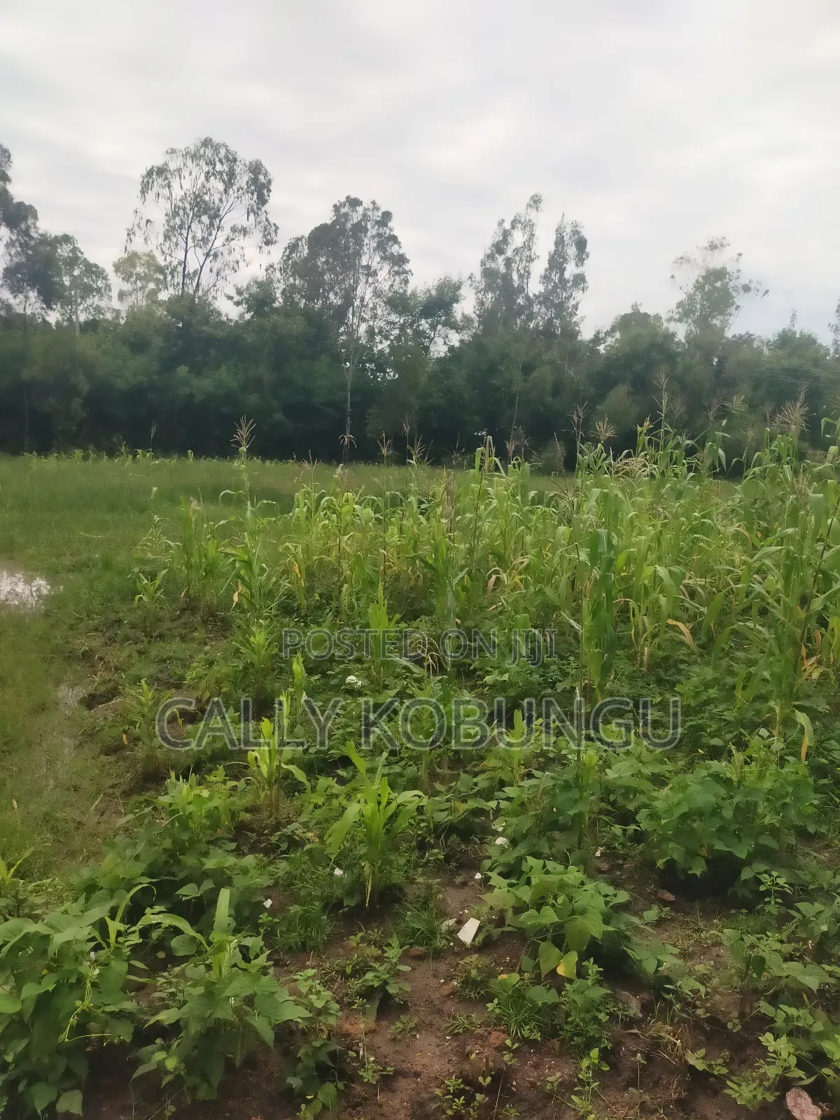 3⁄4 of an Acre Along Nairobi Road Near Alendu in Buoye