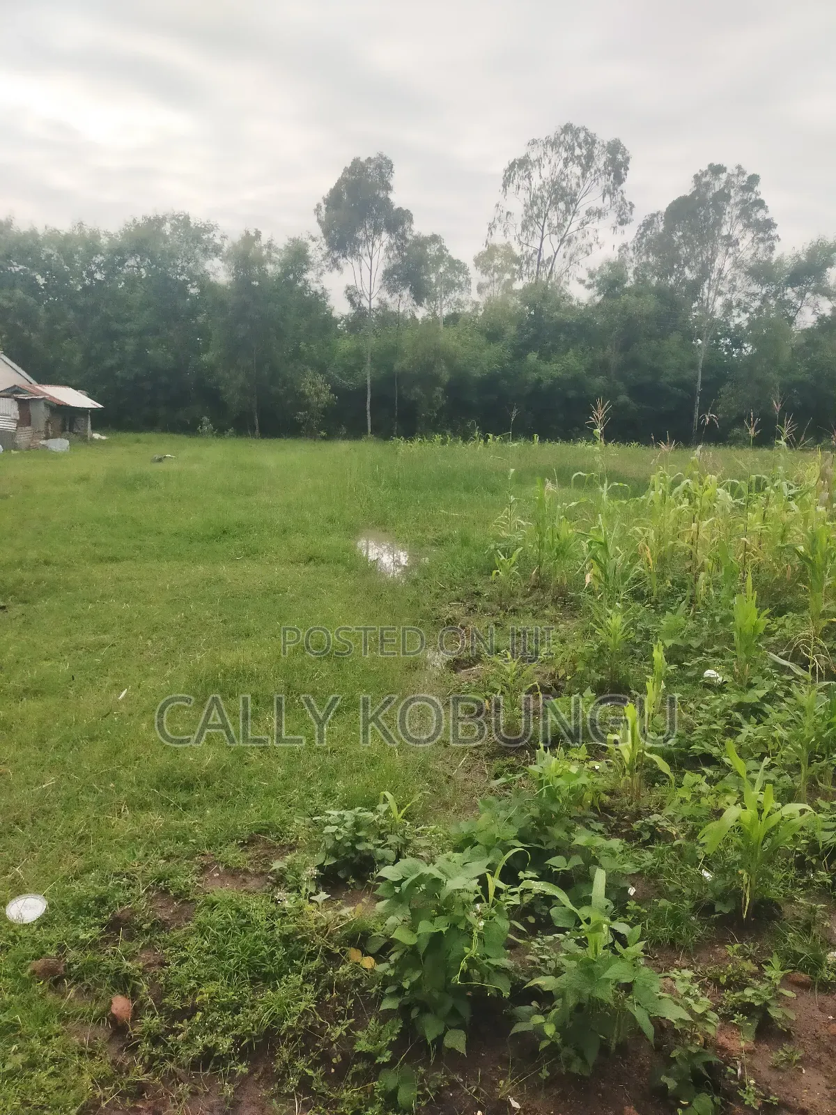 3⁄4 of an Acre Along Nairobi Road Near Alendu in Buoye