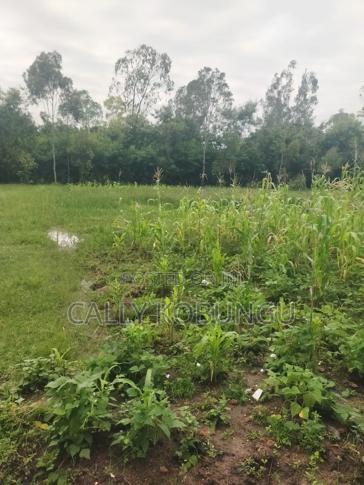 3⁄4 of an Acre Along Nairobi Road Near Alendu in Buoye