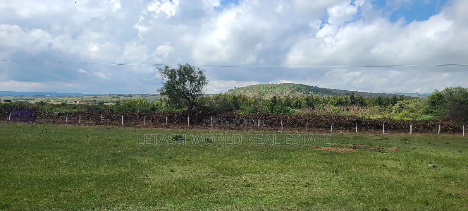 Prime Plots 1km Feom the Highway,50 by 100 in Mirera