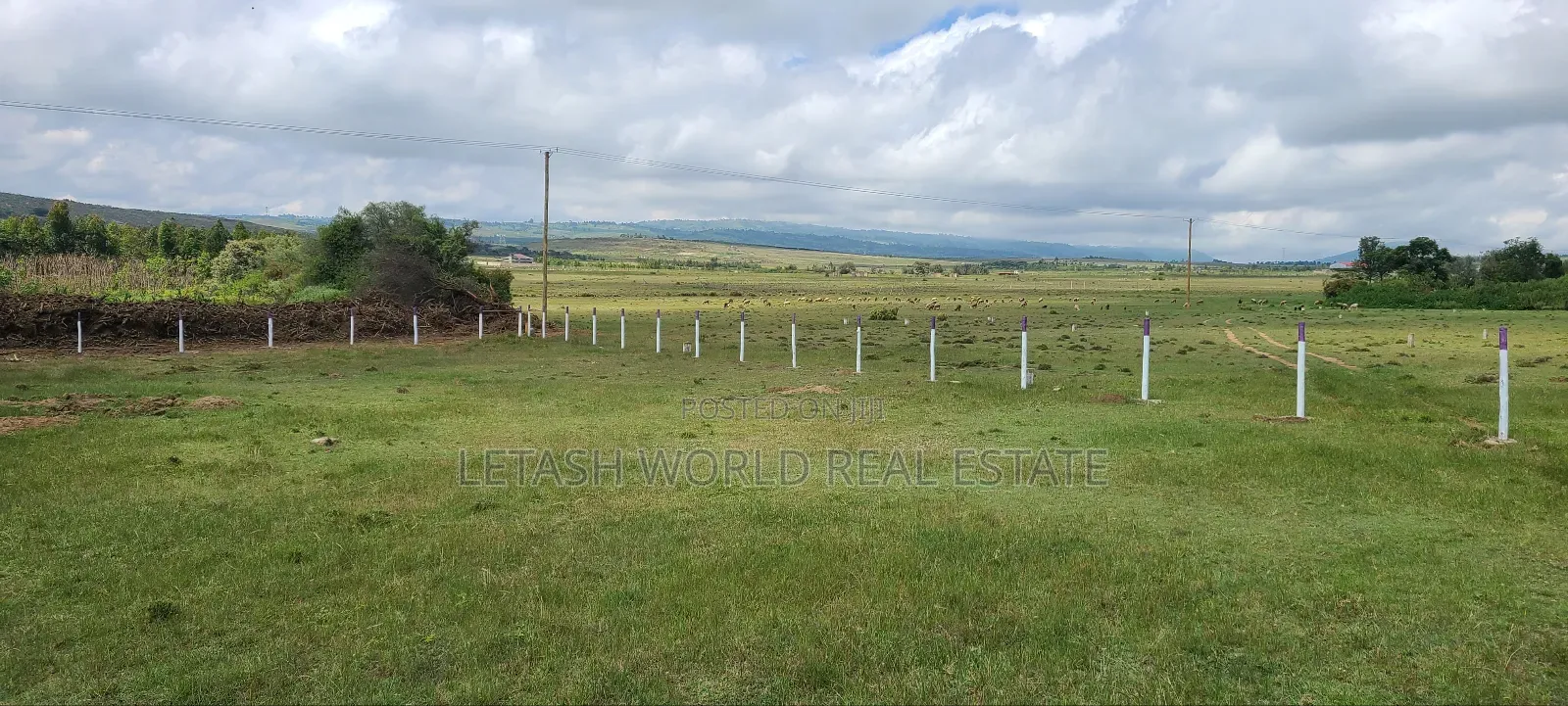Prime Plots 1km Feom the Highway,50 by 100 in Mirera
