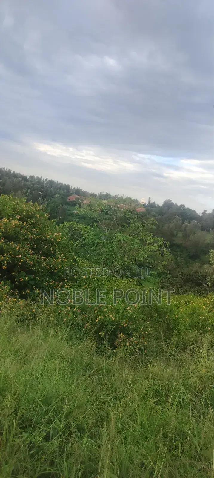 Plots on Sale in Nyeri Town