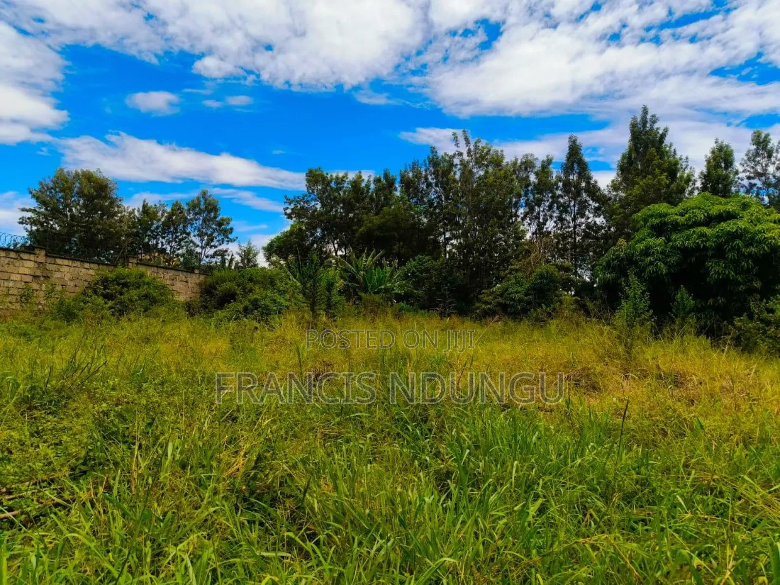 1/2 Acre Residential Land for Sale Cianda Kiambu Township in Ndumberi