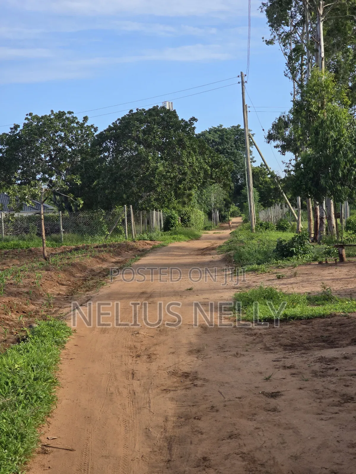 Bofa Prime 3rd Row Beach Plots for Sale in Kilifi North