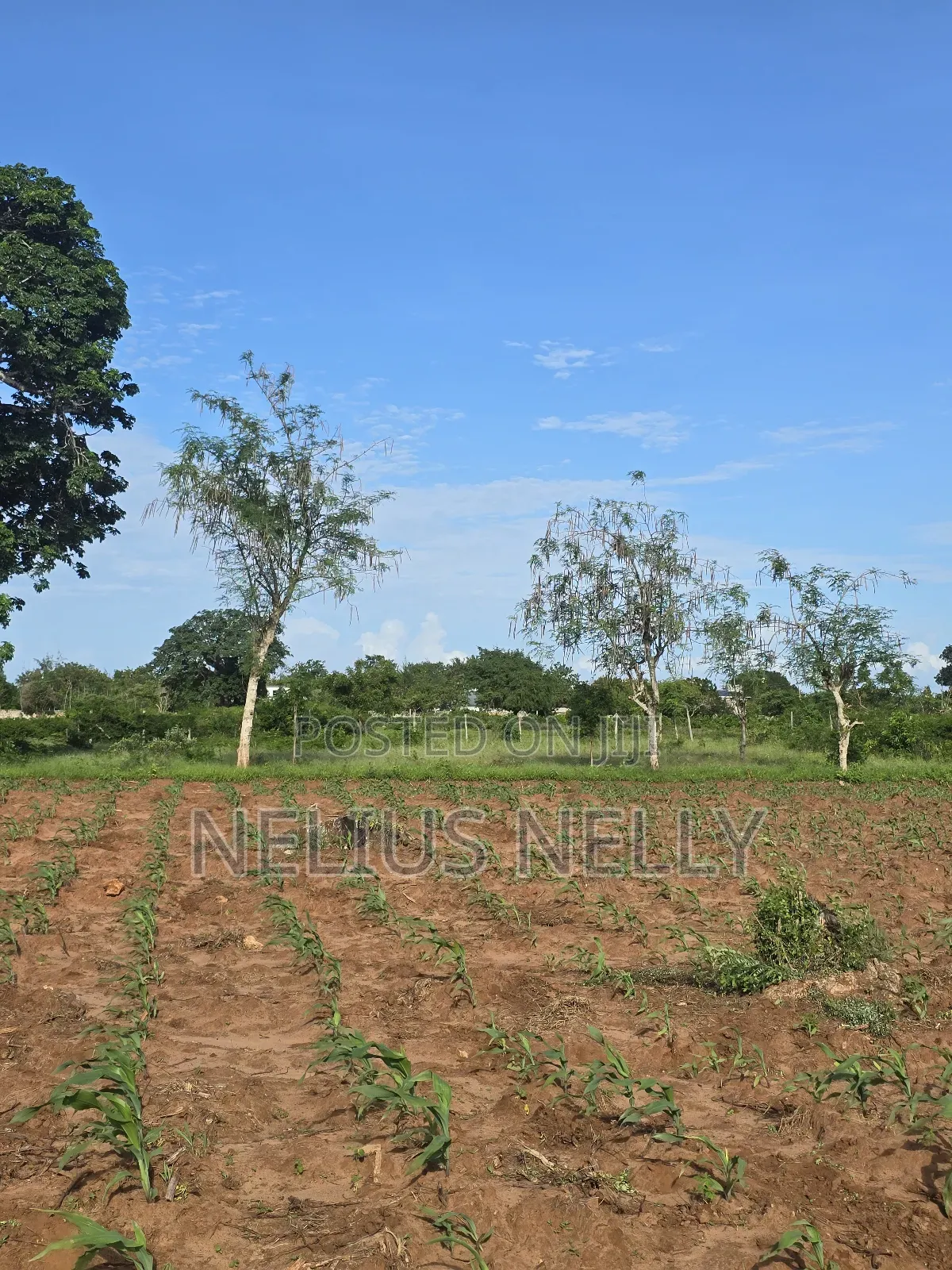 Bofa Prime 3rd Row Beach Plots for Sale in Kilifi North