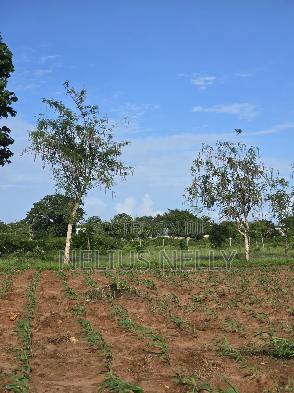 Bofa Prime 3rd Row Beach Plots for Sale in Kilifi North