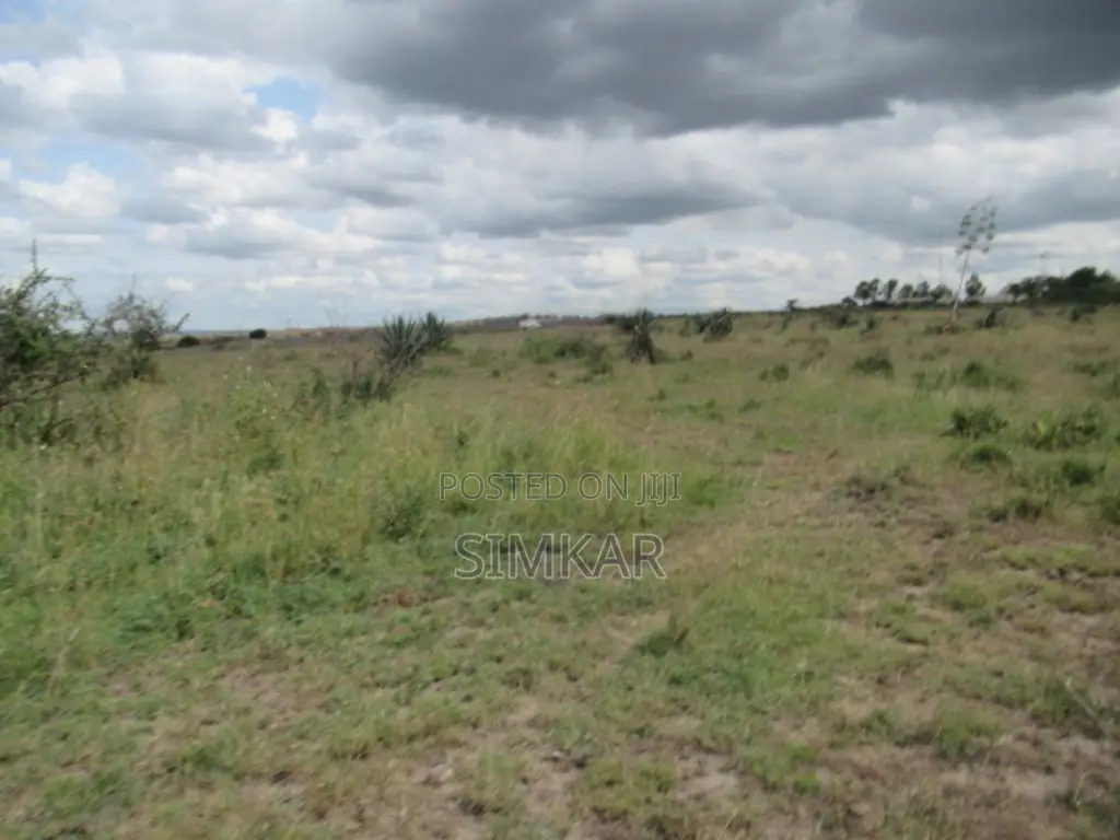 50 Acres of Land for Sale in Katani, Ideal for a Quarry in Katani