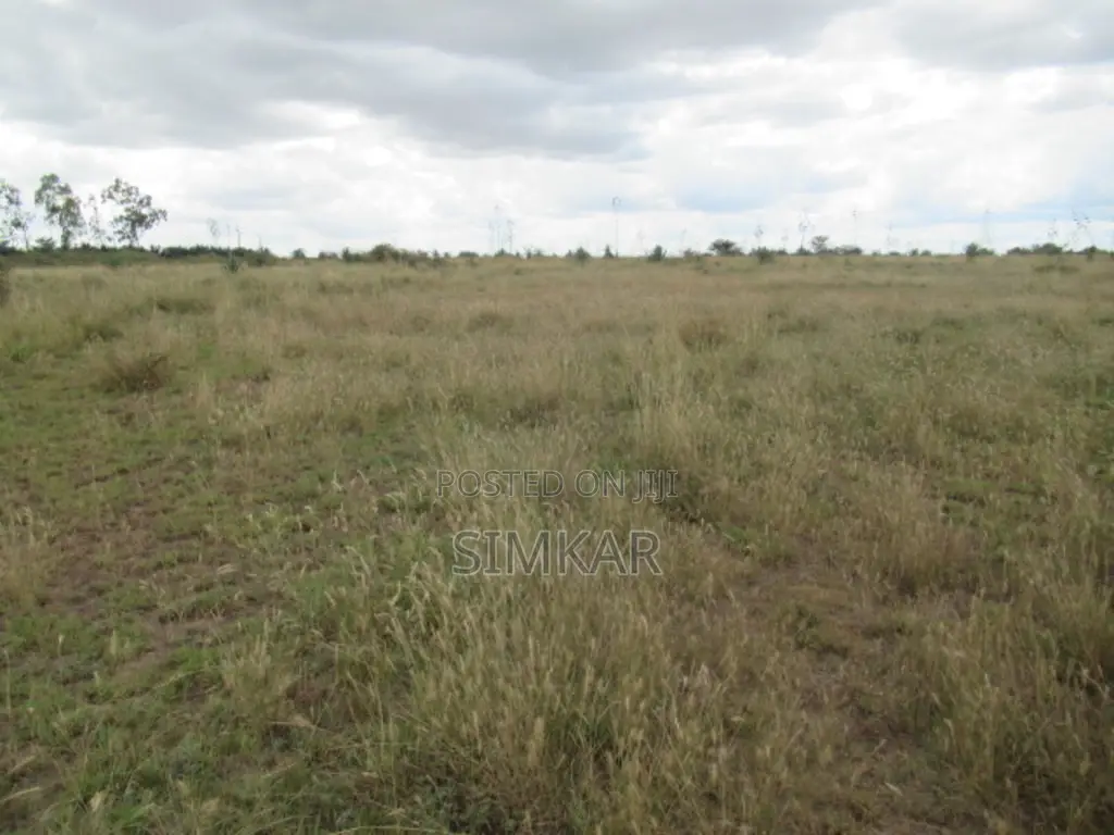 50 Acres of Land for Sale in Katani, Ideal for a Quarry in Katani