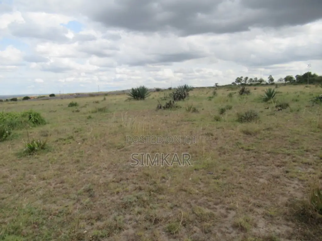 50 Acres of Land for Sale in Katani, Ideal for a Quarry in Katani