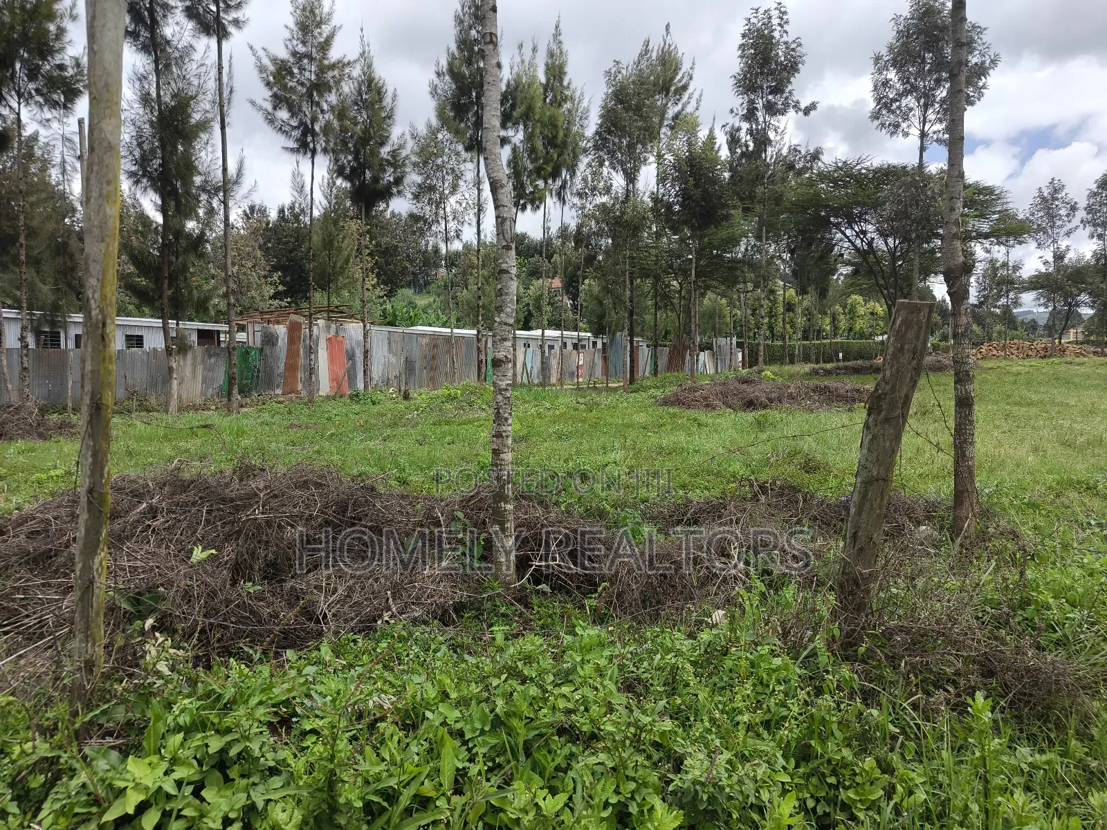Commercial Eighth Acre Plot in Ngong, Matasia Near Tarmac in Matasia
