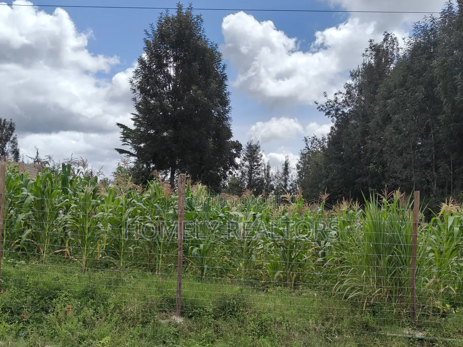 Half Acre Plot in Ngong, Along Merisho Rd, Touching Tarmac in Matasia