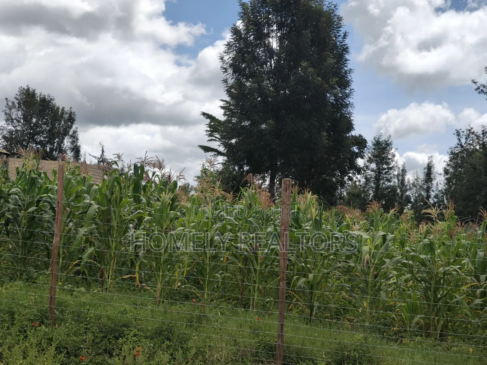Half Acre Plot in Ngong, Along Merisho Rd, Touching Tarmac in Matasia
