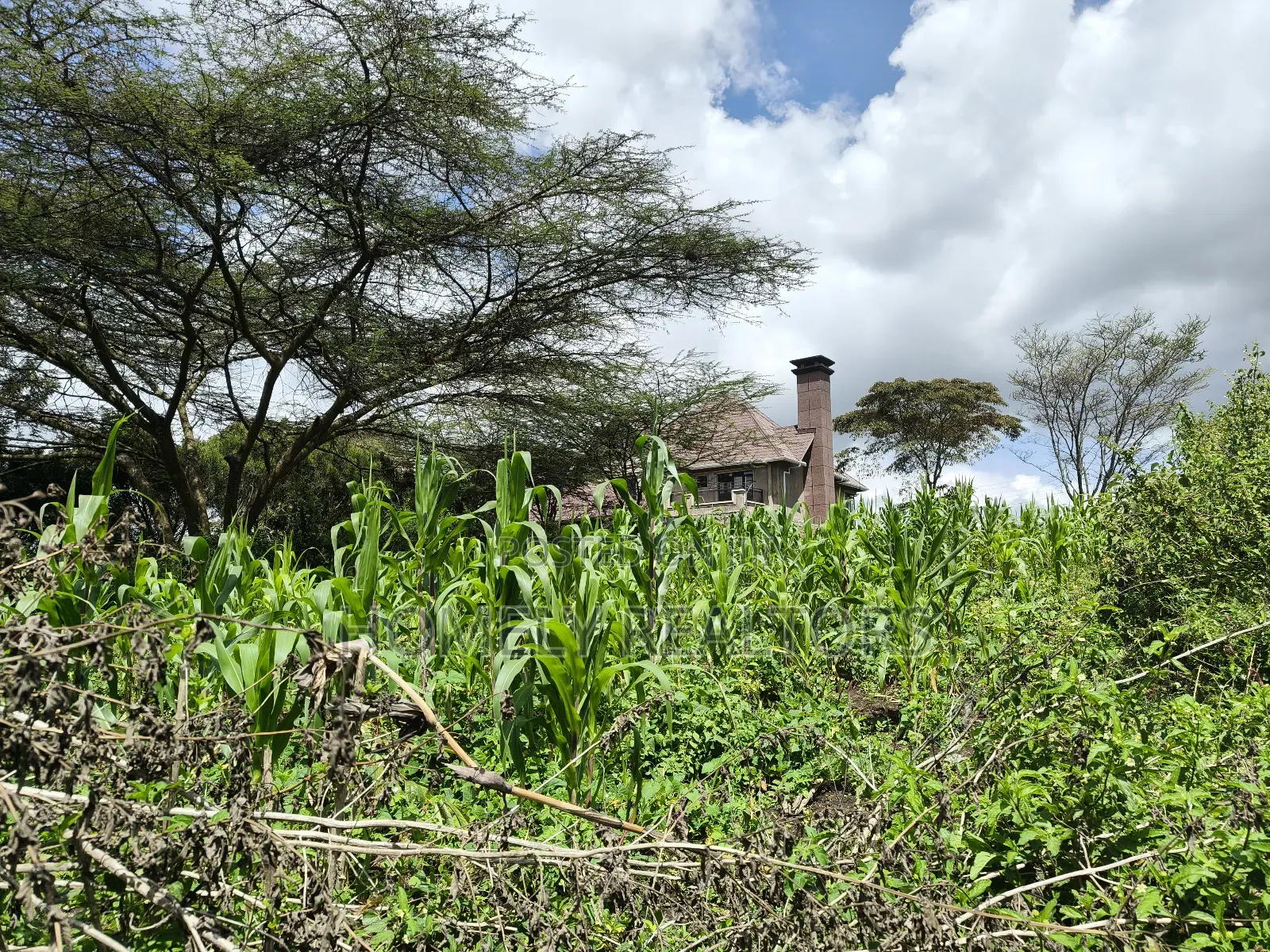 Eighth Acre Plot in Ngong, Ol Keri 100 Meters From Tarmac in Ol Keri