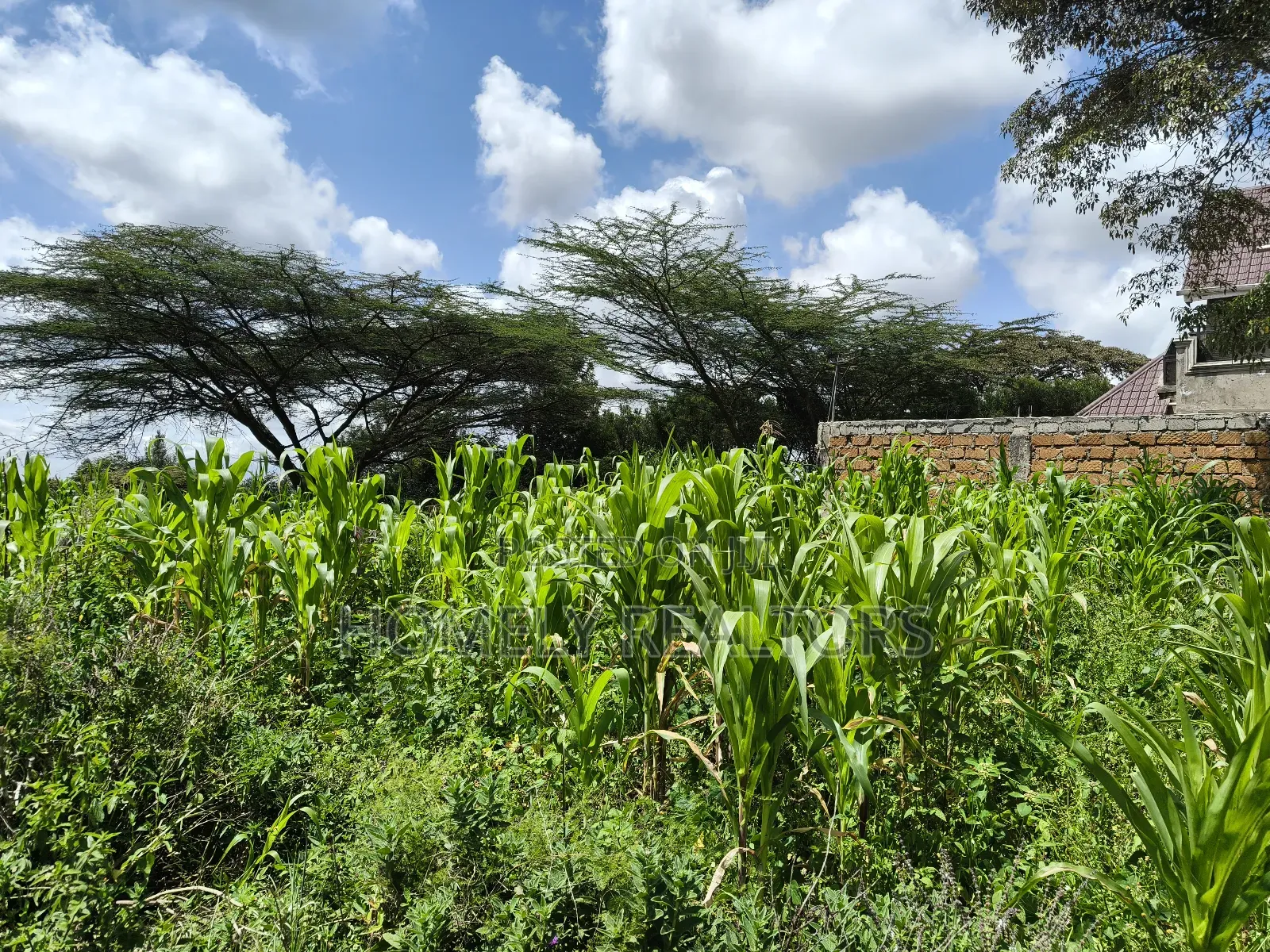 Eighth Acre Plot in Ngong, Ol Keri 100 Meters From Tarmac in Ol Keri