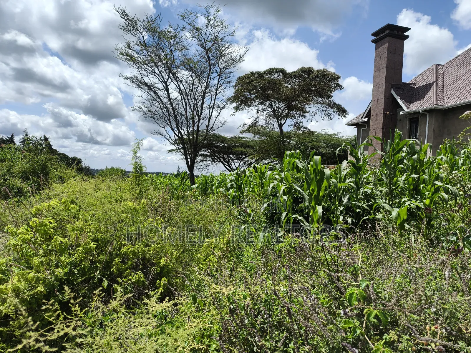 Eighth Acre Plot in Ngong, Ol Keri 100 Meters From Tarmac in Ol Keri